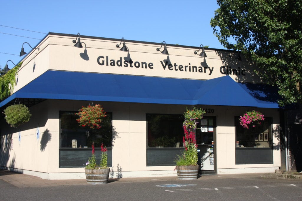 Boarding Request Received Gladstone Veterinary Clinic Milwaukie, OR