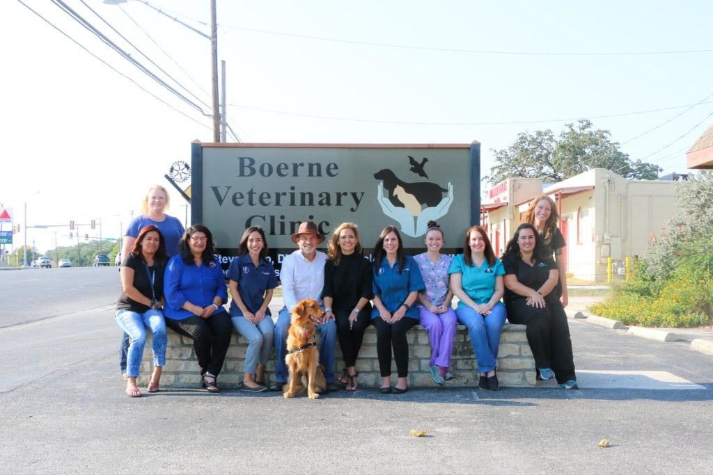 unnamed10 copy Gladstone Veterinary Clinic