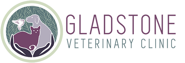 Gladstone Veterinary Clinic